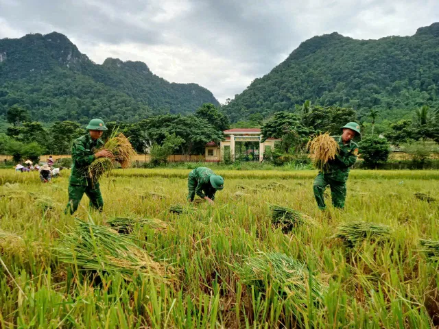 Bộ đội biên phòng gặt lúa chạy lũ cho đồng bào biên giới - Ảnh 2.