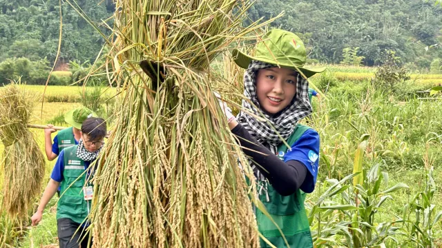 Hoa hậu Bảo Ngọc hỗ trợ bà con Tuyên Quang dựng nhà sau bão lũ - Ảnh 2.