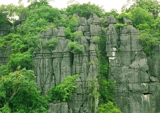 Quảng Bình: Xây dựng hồ sơ đề cử Khu dự trữ sinh quyển thế giới Phong Nha - Kẻ Bàng - Ảnh 1.