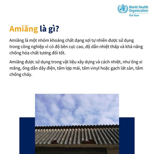 Infographic: Lưu ý về đảm bảo an toàn trong quá trình dọn dẹp sau bão - Ảnh 1.