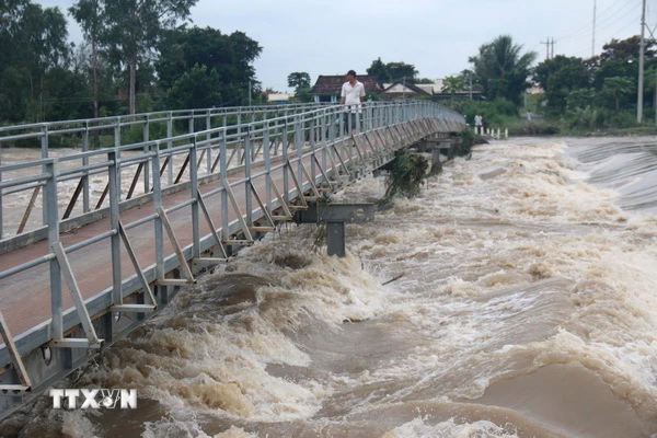 Lũ đầu nguồn sông Cửu Long lên cao từ 4 - 6/10 - Ảnh 1.