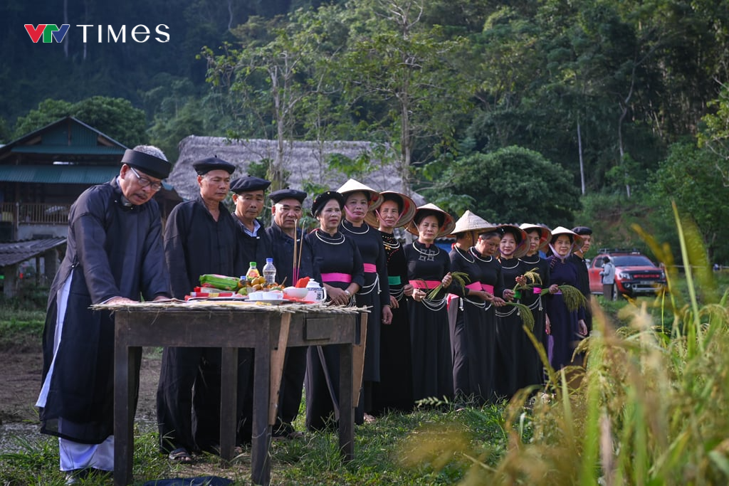 Tuyên Quang: Phục dựng Lễ hội Giã cốm của dân tộc Tày ở huyện Na Hang - Ảnh 4.