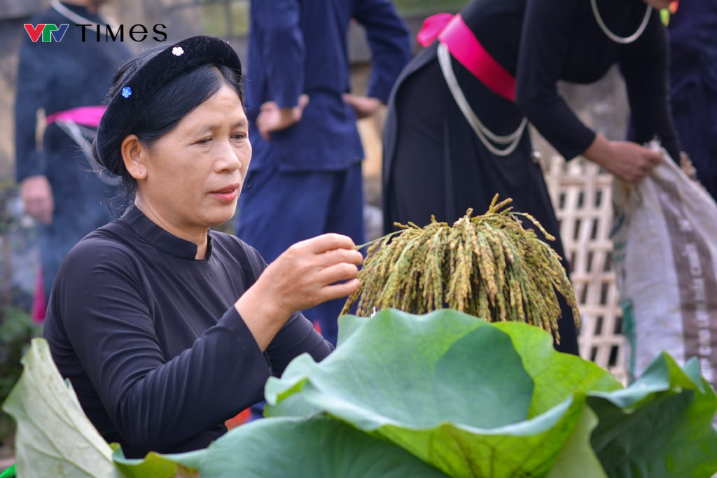 Tuyên Quang: Phục dựng Lễ hội Giã cốm của dân tộc Tày ở huyện Na Hang - Ảnh 13.