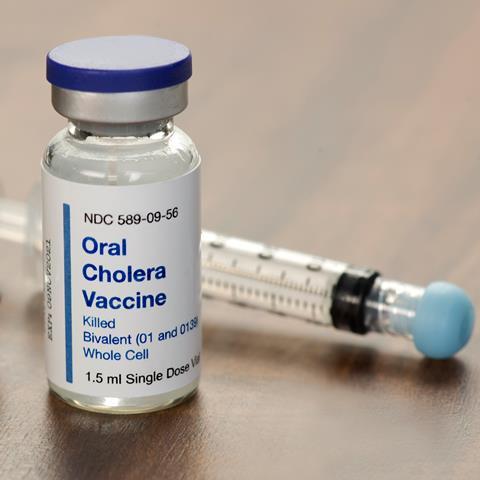 Kho dự trữ vaccine ngừa dịch tả toàn cầu đã cạn kiệt - Ảnh 1.