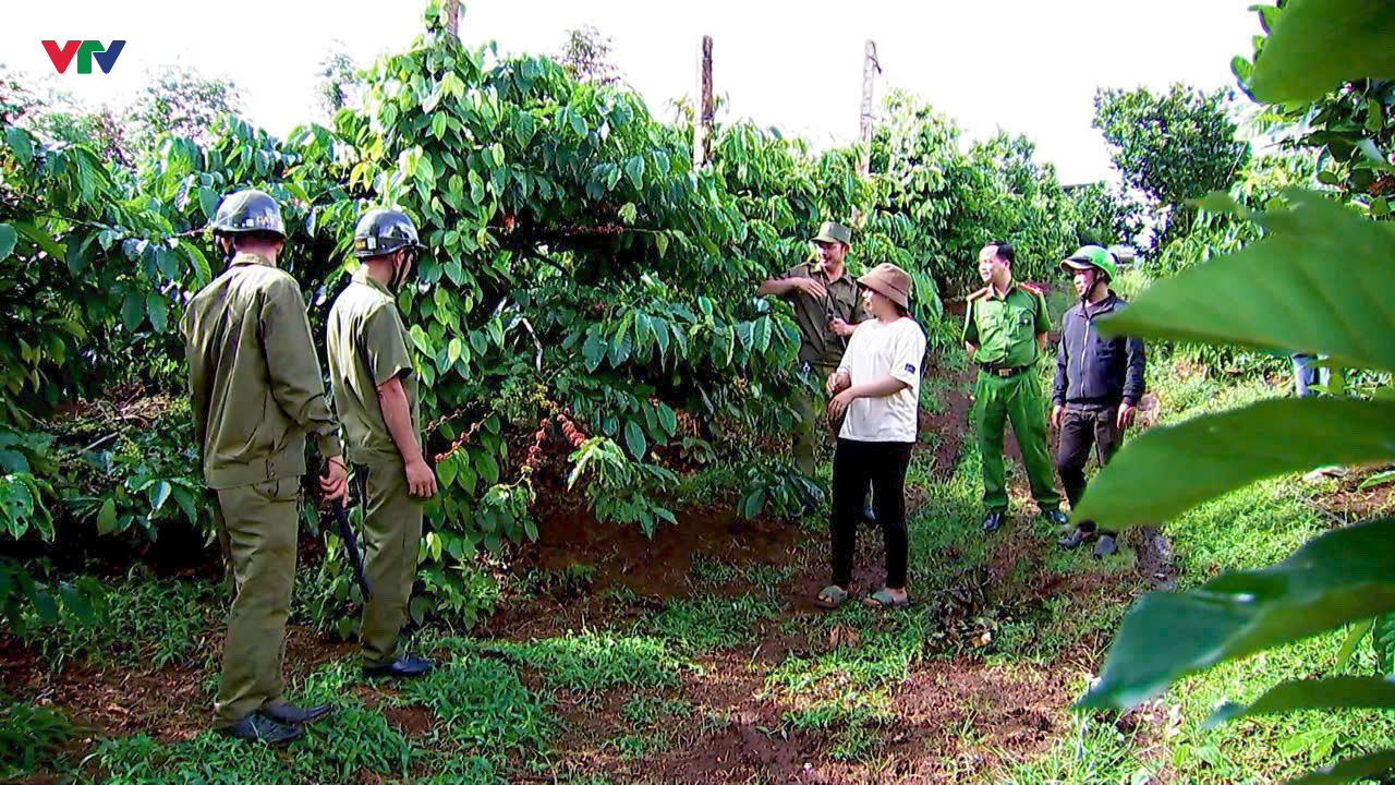 Đắk Lắk: Lực lượng công an tuần tra đêm giữ bình yên trong vụ thu hoạch cà phê - Ảnh 5.