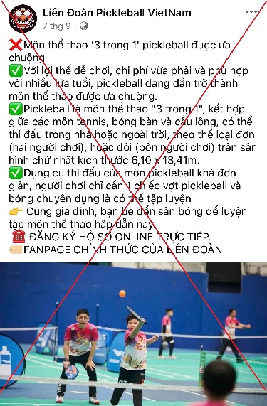 Giả mạo “Liên đoàn Pickleball Việt Nam” để lừa đảo chiếm đoạt tài sản - Ảnh 1.