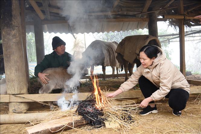 Khả năng có nhiều đợt rét đậm, rét hại trong 2 tháng đầu năm 2025 - Ảnh 1.