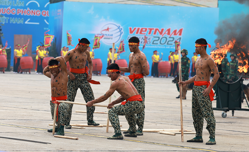 Bay chào mừng, biểu diễn võ thuật tại tổng duyệt Lễ khai mạc Triển lãm Quốc phòng quốc tế Việt Nam - Ảnh 8.