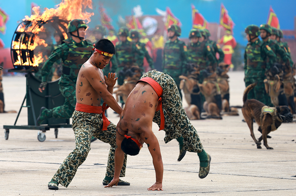 Bay chào mừng, biểu diễn võ thuật tại tổng duyệt Lễ khai mạc Triển lãm Quốc phòng quốc tế Việt Nam - Ảnh 6.