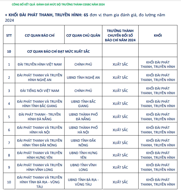 Đài Truyền hình Việt Nam dẫn đầu về mức độ trưởng thành chuyển đổi số báo chí năm 2024 - Ảnh 2.