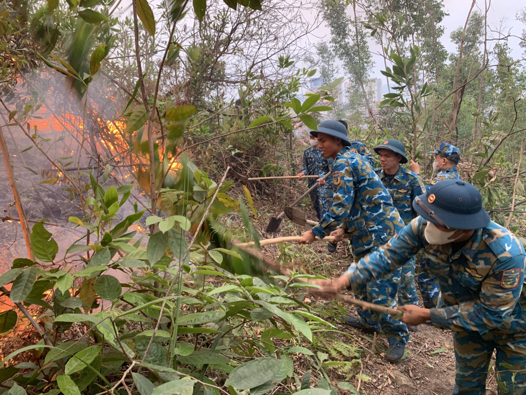 Liên tiếp xảy ra cháy rừng tại Hạ Long (Quảng Ninh) - Ảnh 1.