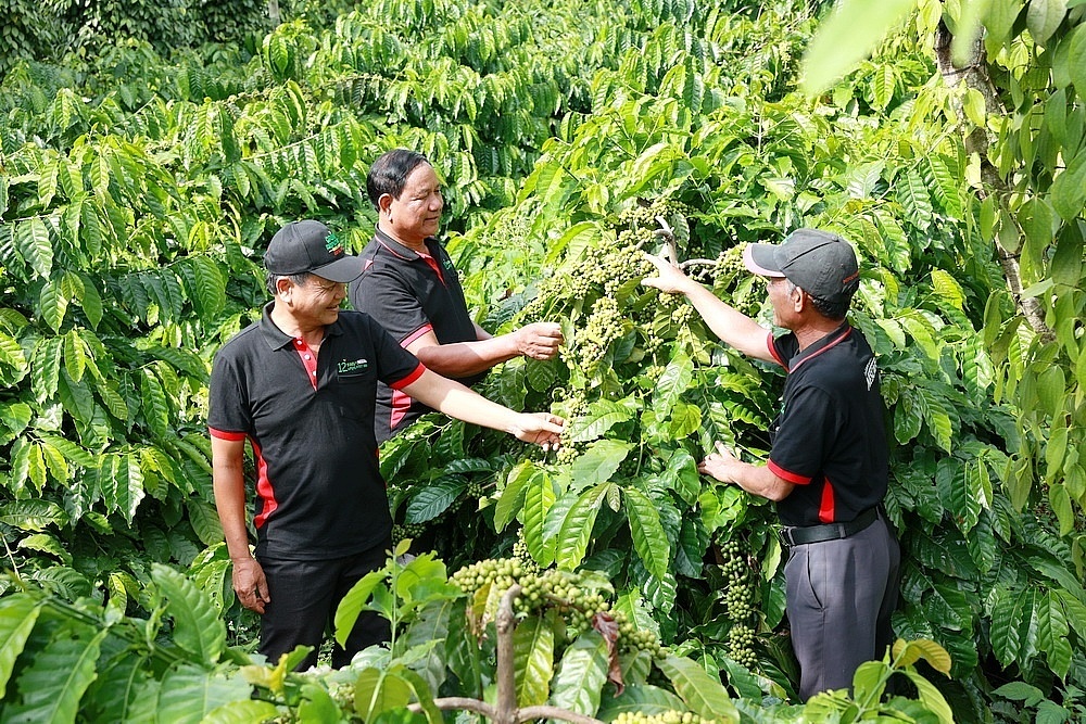 Tạo bệ phóng cho nông sản Việt xuất khẩu - Ảnh 3.