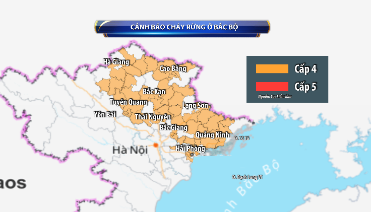 Xuyên đêm chữa cháy rừng ở Hạ Long (Quảng Ninh) - Ảnh 2.