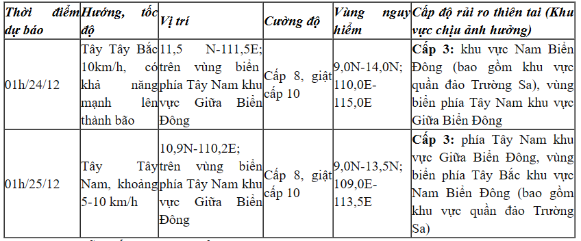 Áp thấp nhiệt đới giật cấp 9 trên quần đảo Trường Sa - Ảnh 1.