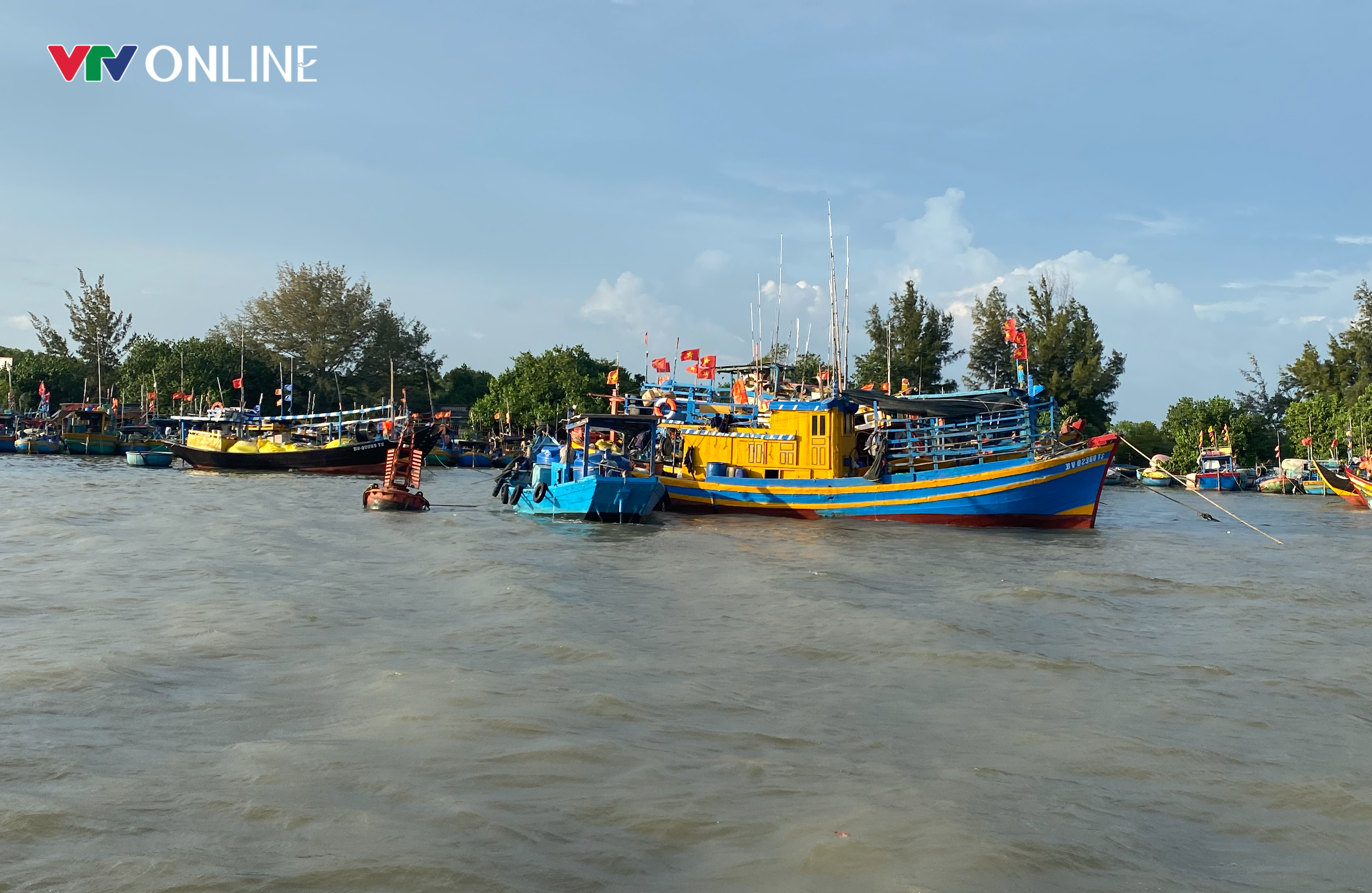 Bà Rịa - Vũng Tàu: Phát hiện, xử phạt 62 tàu cá vi phạm IUU - Ảnh 1.