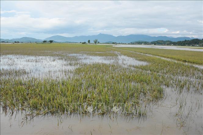 Đắk Lắk: Chủ động ứng phó với mưa lớn, sạt lở - Ảnh 1.