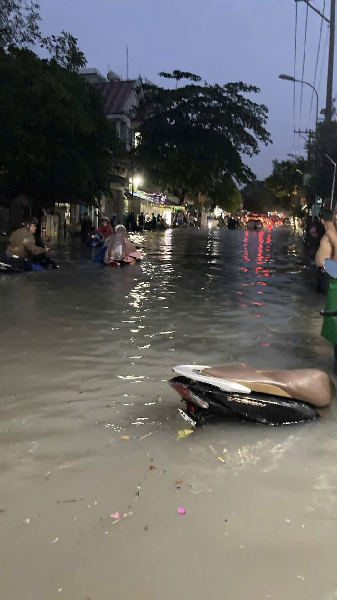 TP Hồ Chí Minh mưa lớn gây ngập nặng nhiều tuyến đường - Ảnh 3.