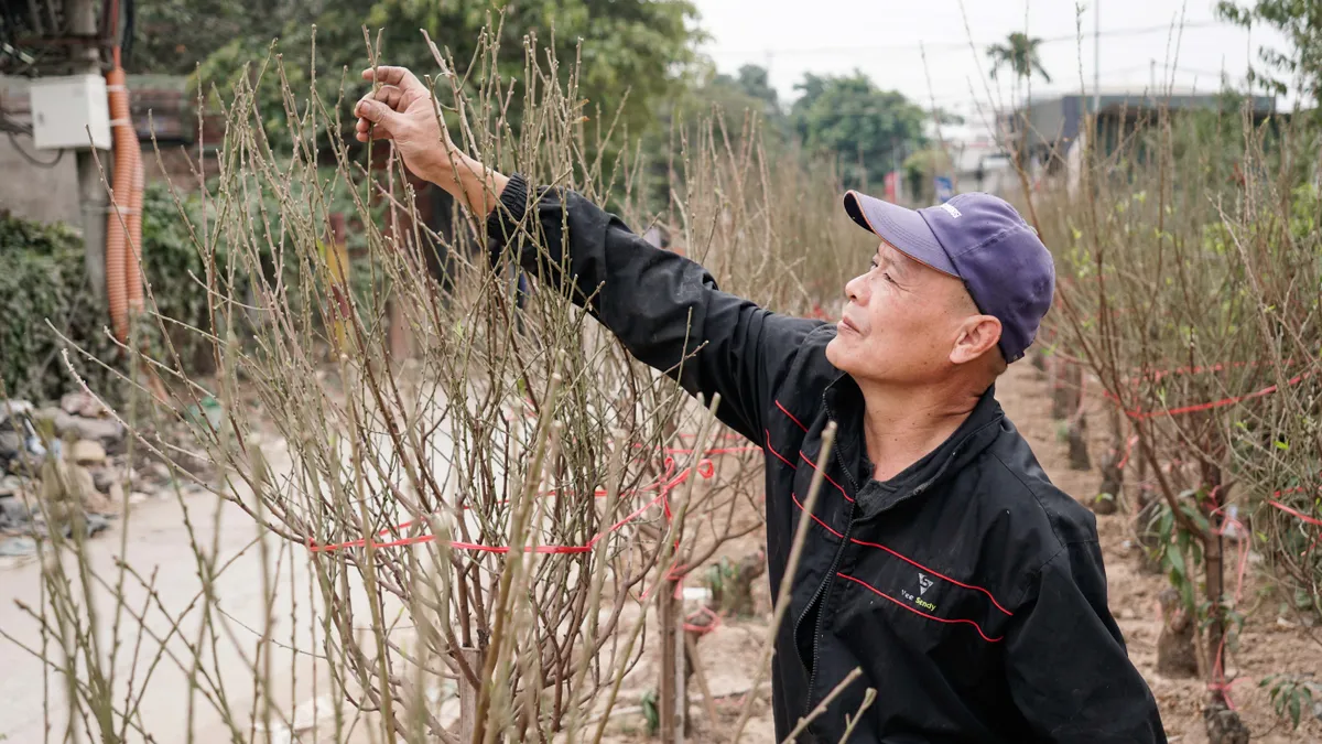 Chuyện những người mang hồn Tết” vượt khó giữ mùa xuân - Ảnh 4.