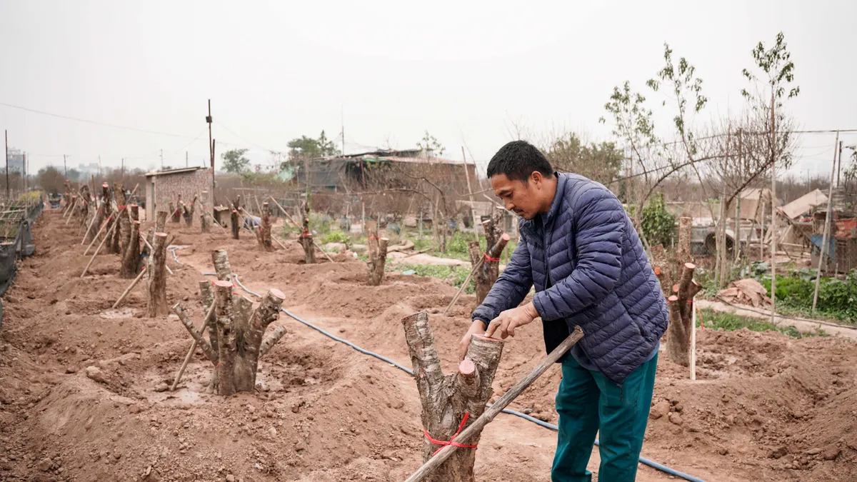 Chuyện những người mang hồn Tết” vượt khó giữ mùa xuân - Ảnh 3.