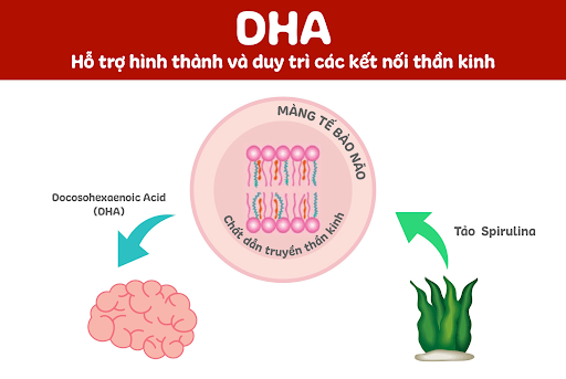 Phát hiện giải pháp mới hỗ trợ phát triển trí não, nuôi con thông minh chuẩn Nhật - Ảnh 1.