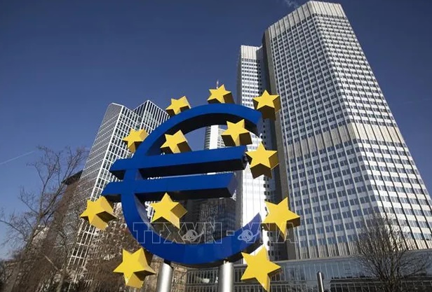 ECB bị chỉ trích chậm hạ lãi suất - Ảnh 1.