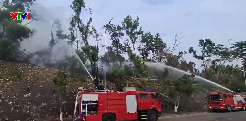 Hanh khô kéo dài, nguy cơ cháy rừng ở Đông Bắc Bộ cao - Ảnh 2.