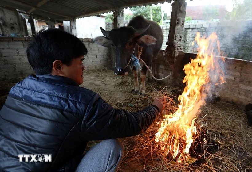 Thời tiết đêm 16/1: Nhiều khu vực vùng núi phía Bắc rét đậm, rét hại - Ảnh 1.