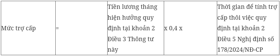 Hướng dẫn cách tính hưởng chính sách thôi việc đối với viên chức và người lao động - Ảnh 2.