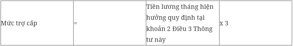 Hướng dẫn cách tính hưởng chính sách nghỉ thôi việc đối với cán bộ, công chức - Ảnh 4.