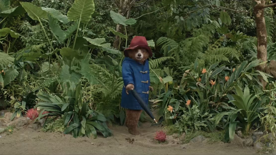 paddington-in-peru-83129817178106794631953.jpg