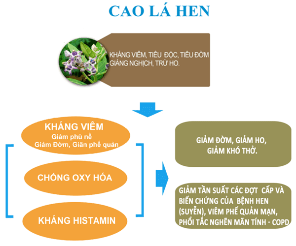 Bảo Khí Khang – TOP 5 thương hiệu quốc gia | giải pháp vàng cho bệnh hô hấp mạn tính  - Ảnh 3.