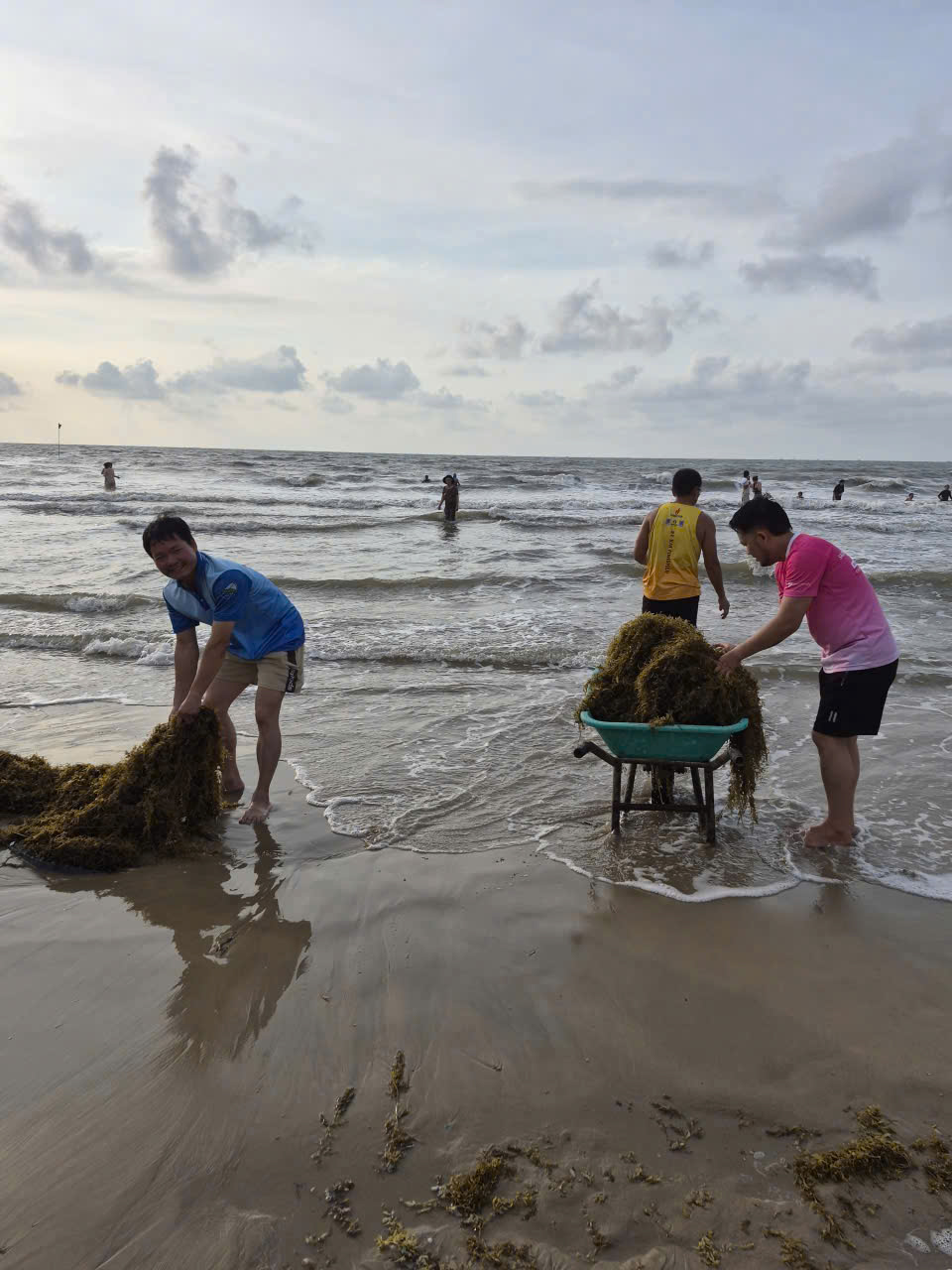 Biến 'rác biển' Vũng Tàu thành nguyên liệu Đông y - Ảnh 1.