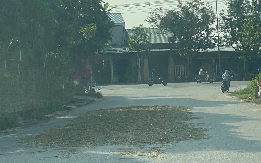 Cảnh báo nguy cơ cháy do phơi, đốt rơm rạ mùa thu hoạch lúa