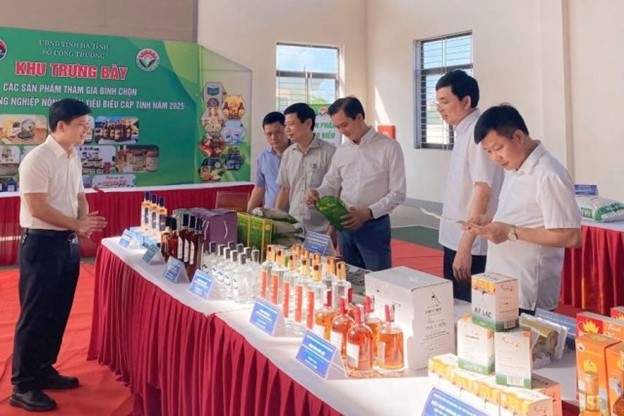 H&agrave; Tĩnh đẩy mạnh ph&aacute;t triển kinh tế địa phương h&igrave;nh th&agrave;nh c&aacute;c cực tăng trưởng từ cơ sở - Ảnh 1.