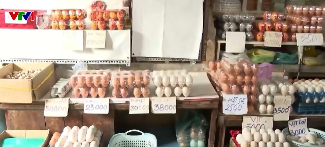 Gi&aacute; trứng gia cầm giảm s&acirc;u  - Ảnh 1.