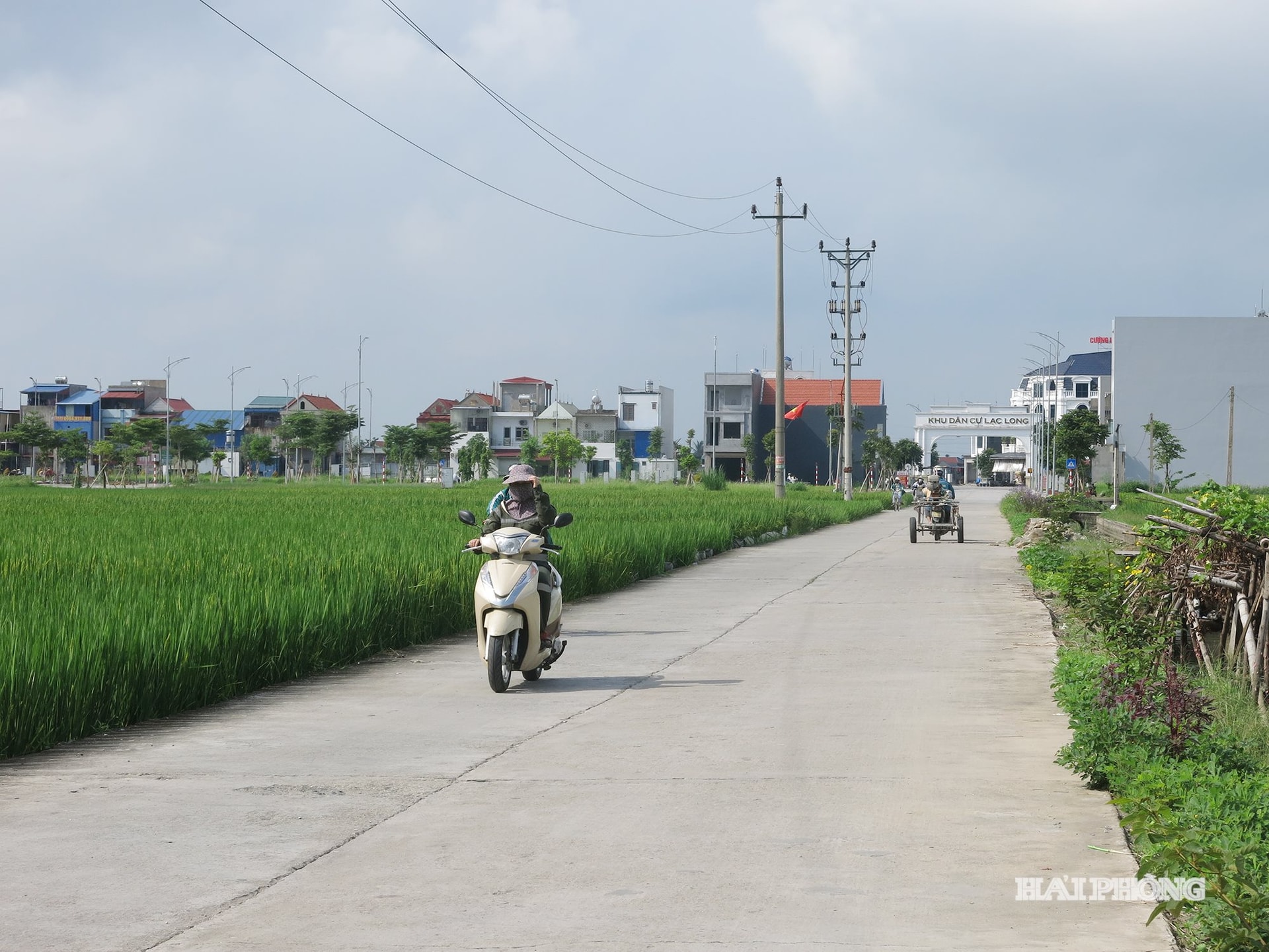 N&ocirc;ng th&ocirc;n mới hướng tới hiện đại, bền vững- Ảnh 2.