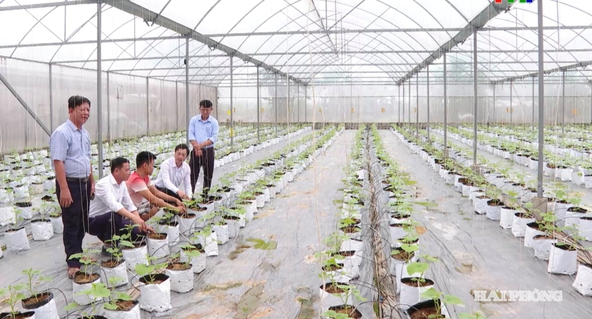 Chuyển đổi xanh tạo động lực tăng trưởng mới cho thành phố Cảng- Ảnh 2. Chuyển đổi xanh tạo động lực tăng trưởng mới cho thành phố Cảng- Ảnh 2.