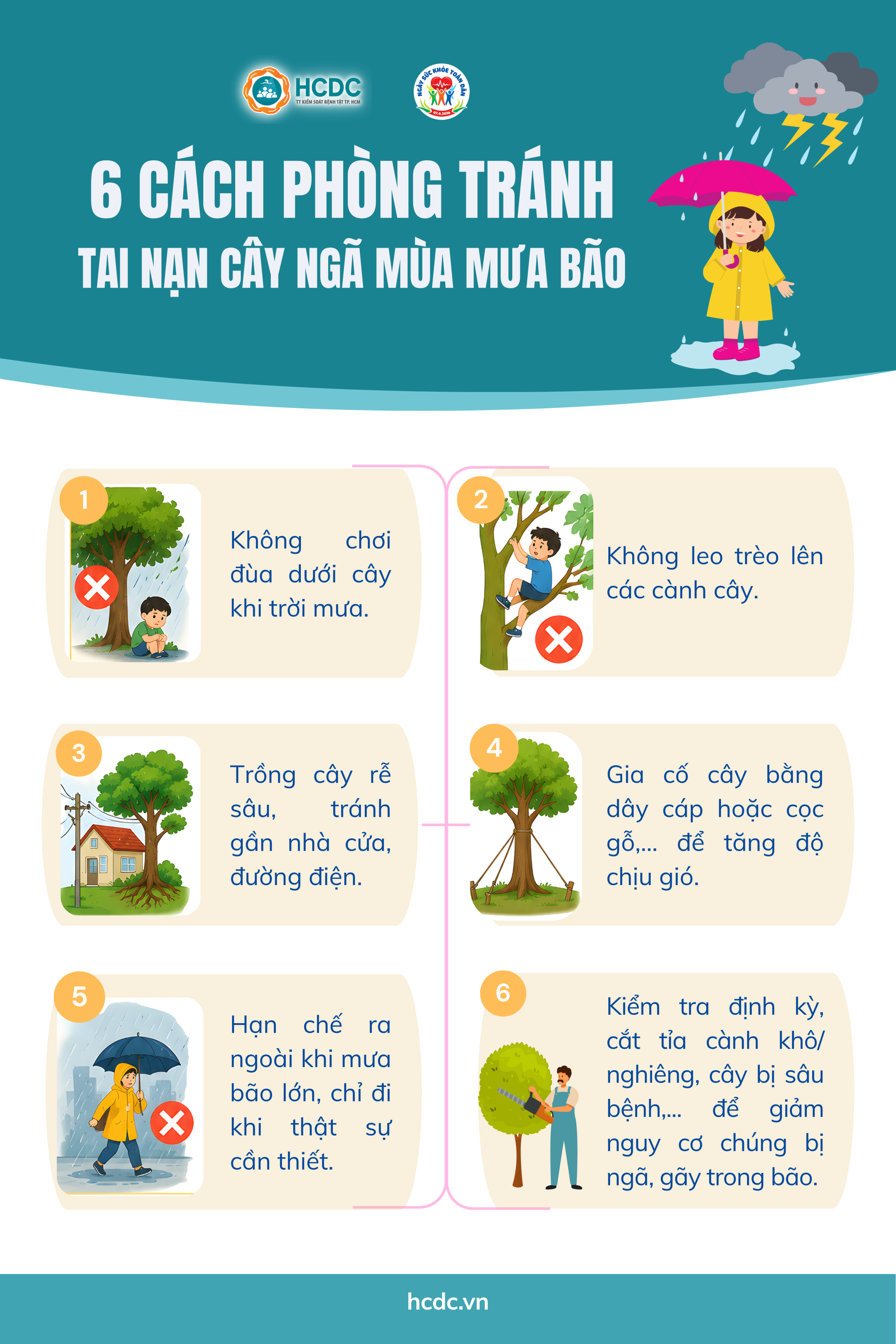 Infographic: 6 cách phòng tránh tai nạn cây gãy, đổ mùa mưa bão- Ảnh 1.