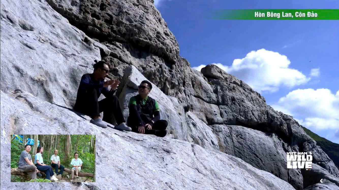BTV Trung Nghĩa: Vietnam Wild Live giúp tôi học cách cúi đầu trước thiên nhiên - Ảnh 1.