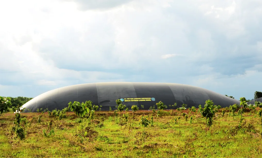C.P. Việt Nam được vinh danh Top 10 “Doanh nghiệp Xanh – NetZero Hành động”- Ảnh 4.