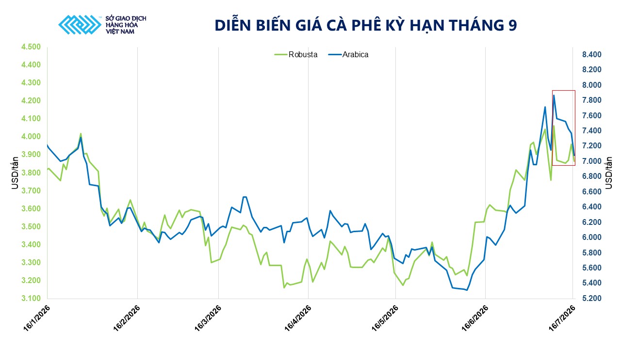 Thị trường h&agrave;ng h&oacute;a: C&agrave; ph&ecirc; trải qua đợt biến động gi&aacute; mạnh- Ảnh 2.