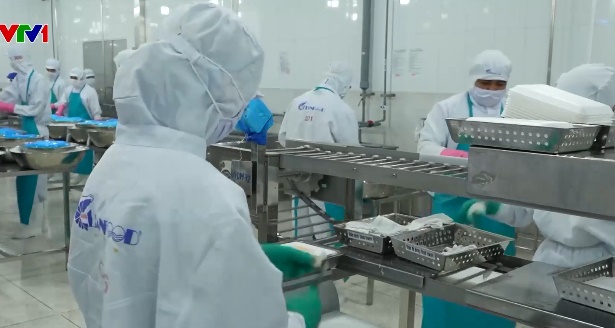 Xuất khẩu nông, lâm, thủy sản đạt gần 36 tỷ USD - Ảnh 1.