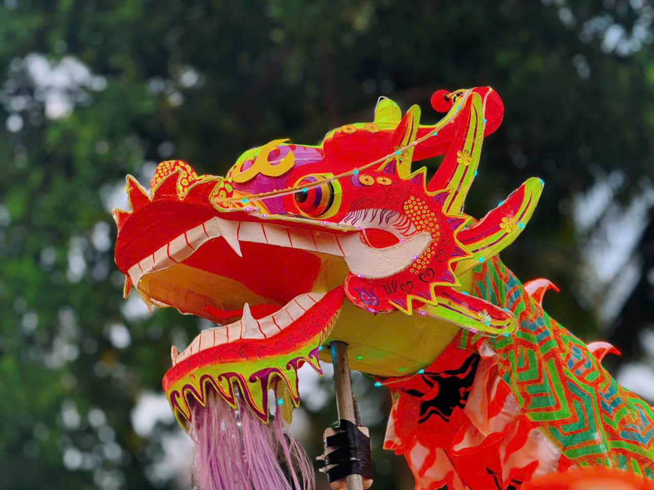 Carnival rực rỡ sắc màu, khuấy động mùa Festival Biển Khánh Hòa 2026 - Ảnh 2.