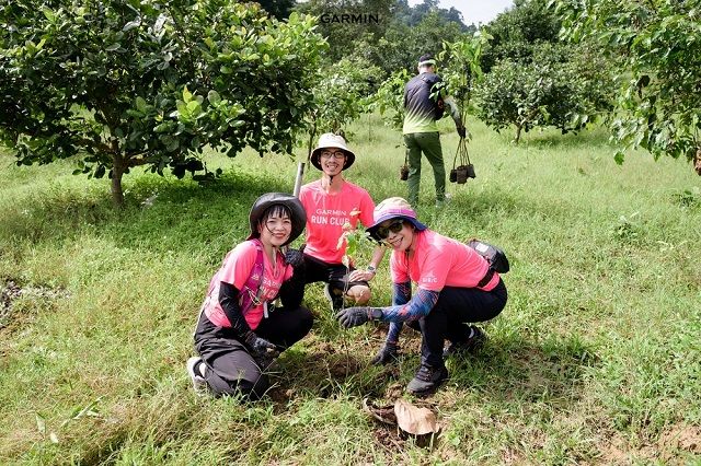 Thêm 1.000 trồng mới tại Khu bảo tồn thiên nhiên Núi Ông - Ảnh 1.