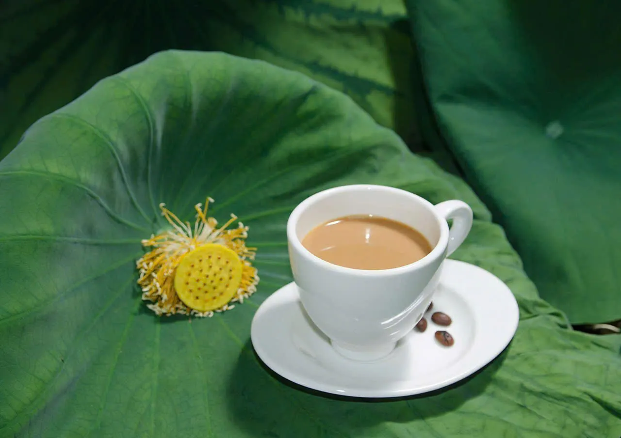 Trải nghiệm "Ăn ngon, chơi chất" cùng VTVgo- Ảnh 5.
