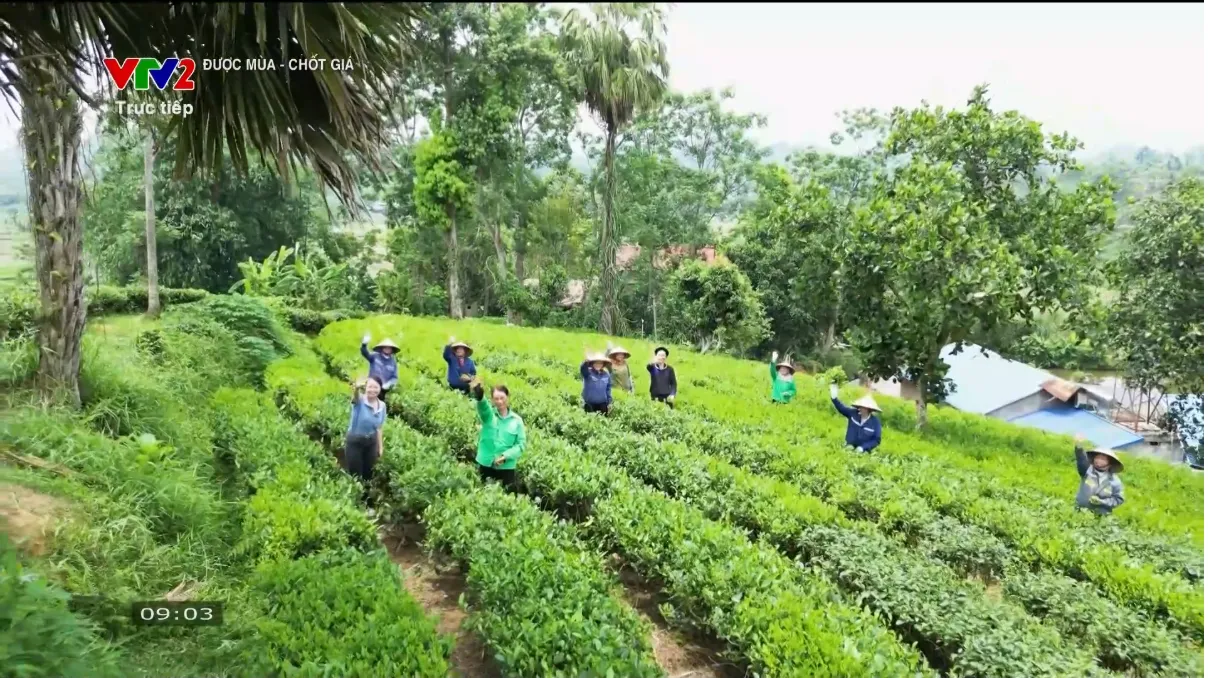 Vtv2 Ra Mắt Chương Trình Được Mùa - Chốt Giá - Ảnh 1.