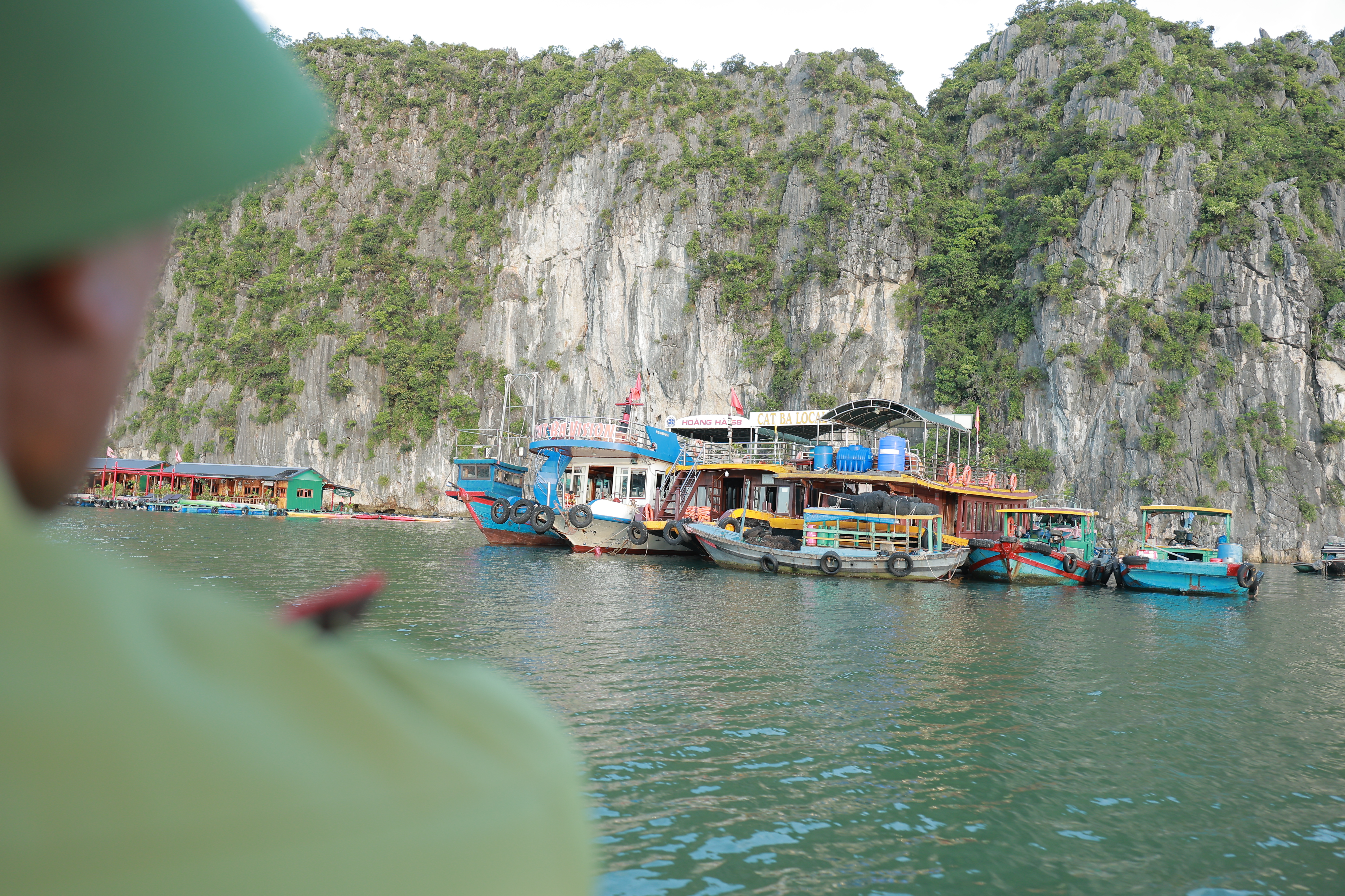 Giữ b&oacute;ng voọc tr&ecirc;n n&uacute;i đ&aacute; C&aacute;t B&agrave; - Ảnh 3.