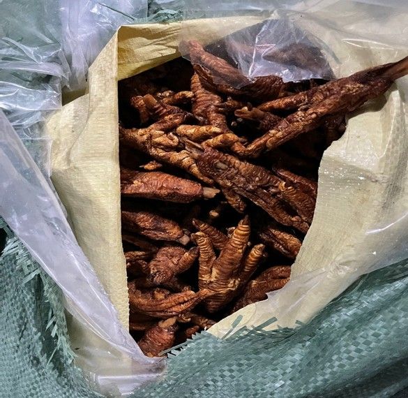 Ph&aacute;t hiện xe tải chở hơn 8,7 tấn ch&acirc;n g&agrave; chế biến kh&ocirc;ng r&otilde; nguồn gốc - Ảnh 2.