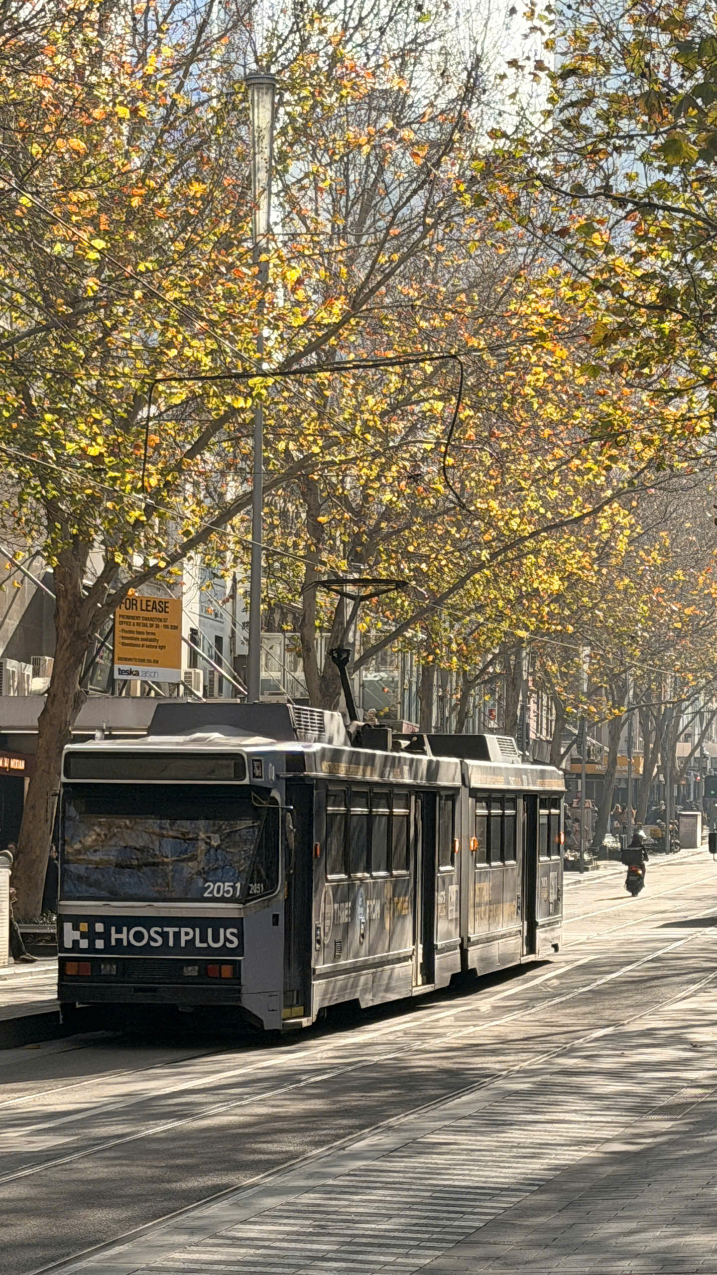 Melbourne trong sắc màu mùa đông - Ảnh 3.