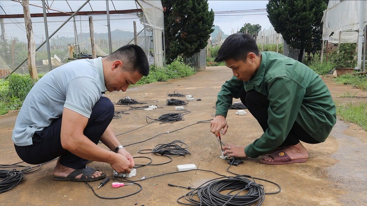 Cảm biến thông minh theo dõi độ ẩm, NPK cho vùng rau an toàn tại Sơn La - Ảnh 1.